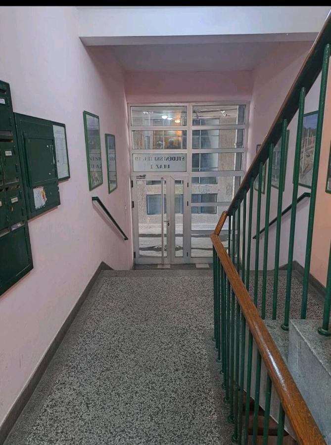 Apartman Milica 2023 Belgrad Dış mekan fotoğraf